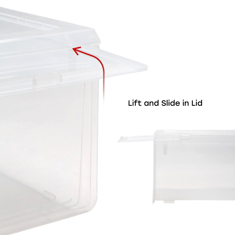 OCDEE™ Basic Shoebox - Bundle of 3