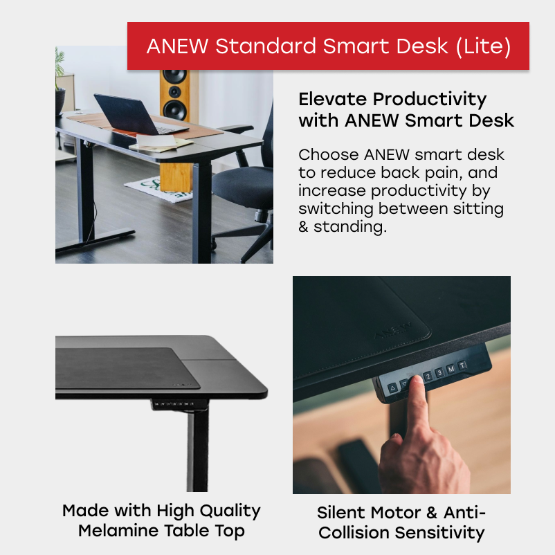 ANEW Standard Smart Desk (Black)